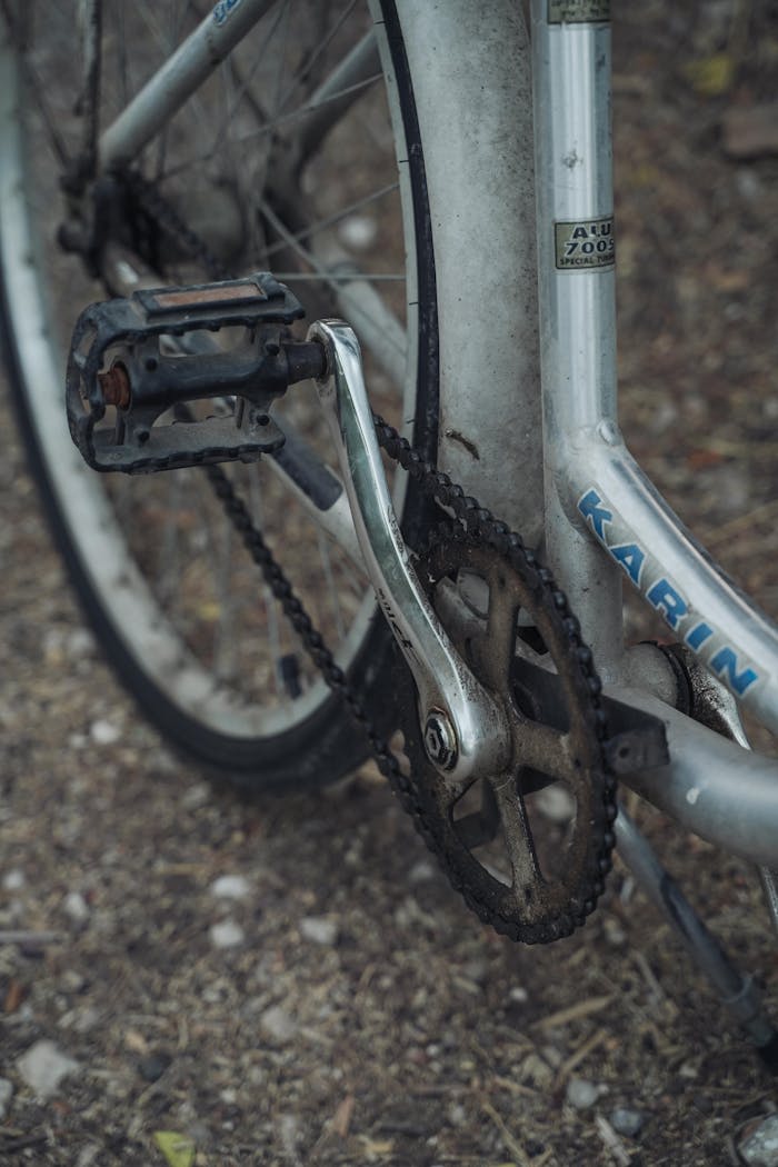 Home Detailed view of a bicycle pedal, chain, and gear outdoors emphasizing its vintage appeal.